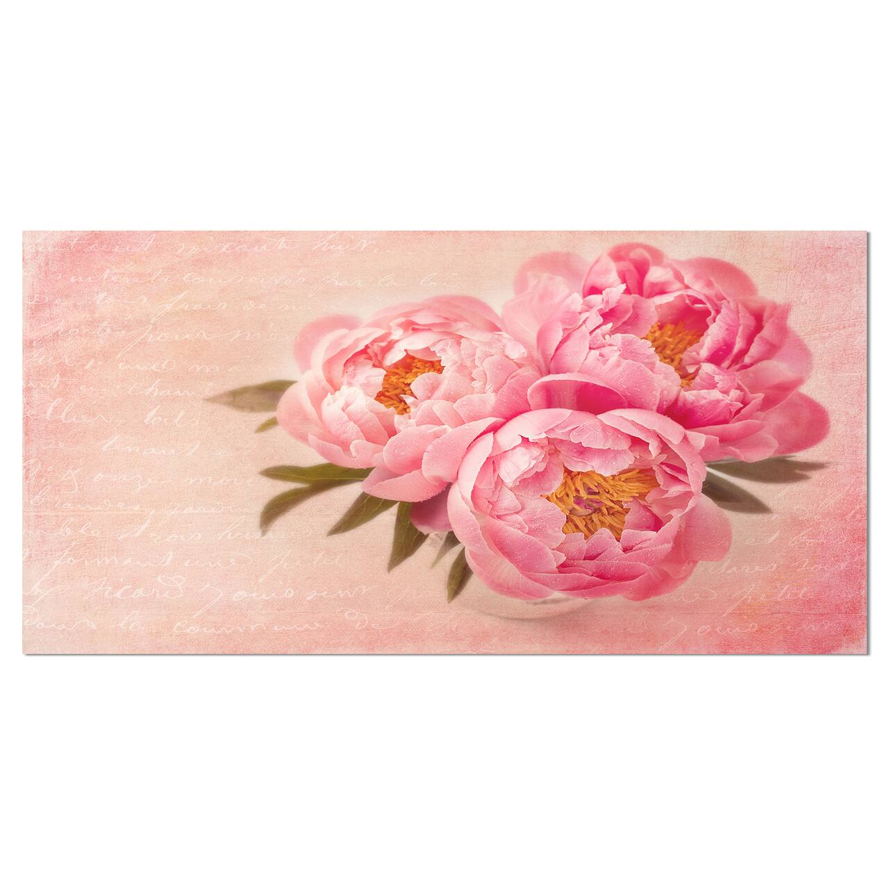 Designart - Peony Flowers against Scribbled Back - Floral Canvas Art Print